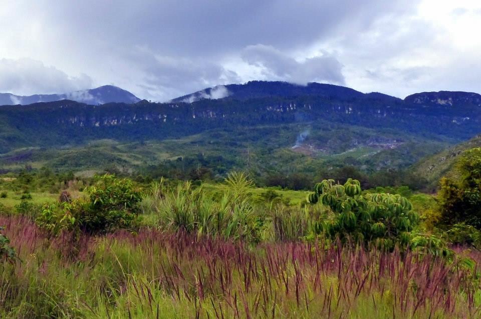 10270659_10202459640486342_7724818906110470806_n