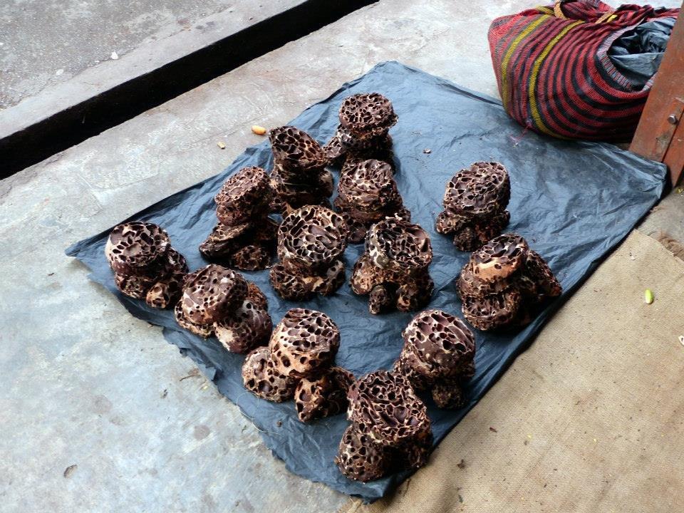 10407110_10202459645246461_6526975344373162504_n