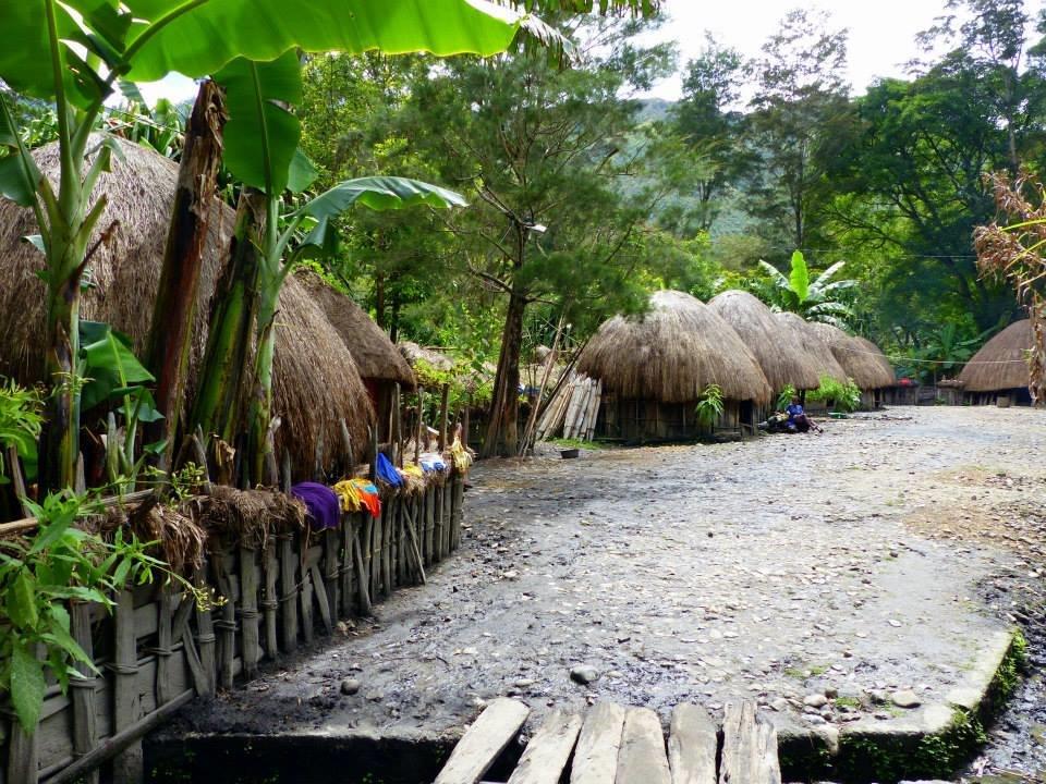 10407212_10202459626846001_588526114265143708_n