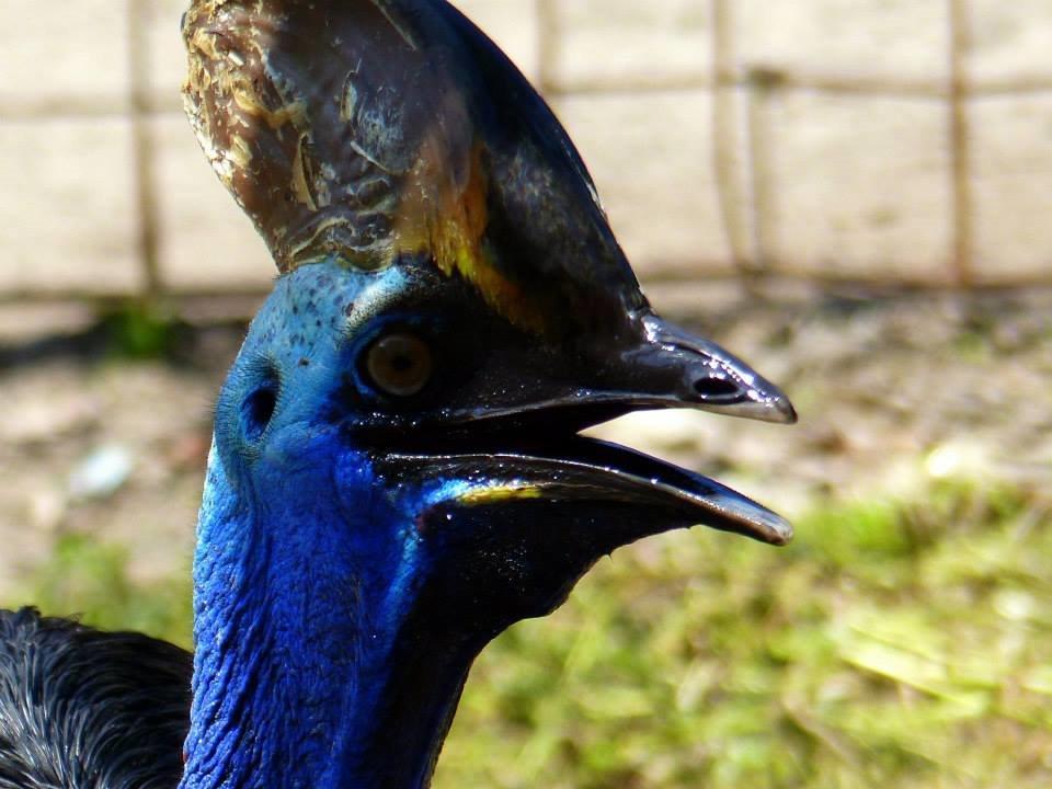 10665176_10202459645966479_3456940604652883218_n