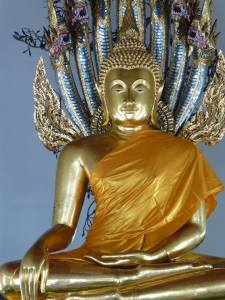 11707668_851332998235122_2517147320389813770_n