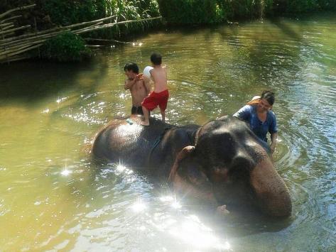 12642980_1132734880071992_4359528947361021191_n