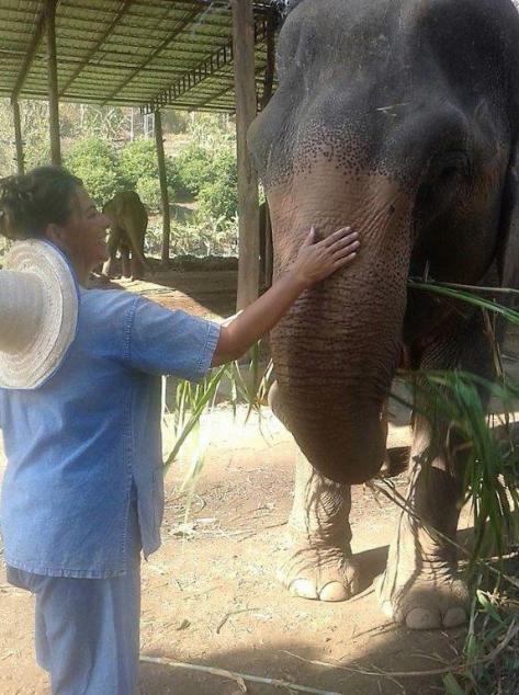 940947_1132735016738645_7543195655106149838_n