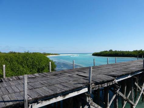 10609577_10202459835771224_1458105511255821904_n