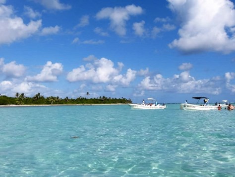 10686992_10202459837051256_794425415156461022_n