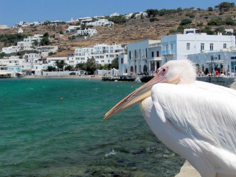 39121_1323348857834_2670687_n