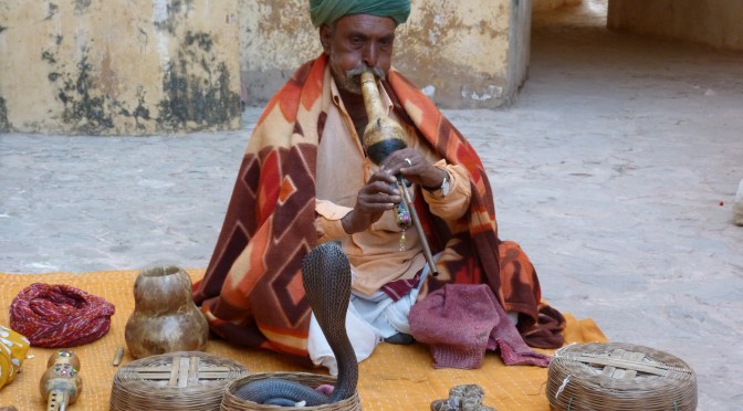 Mit dem Zug durch Nordindien