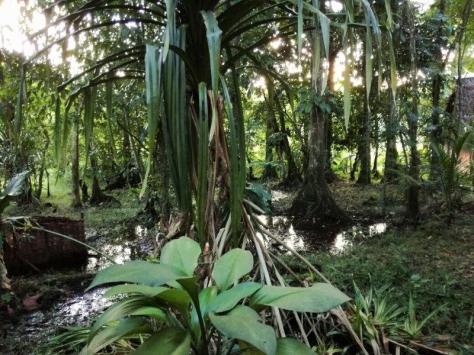 img_20160914_172543_resized_20160915_052339853