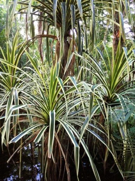 img_20160914_172709_resized_20160915_052339494