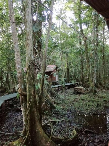 img_20160914_172802_resized_20160915_052338836