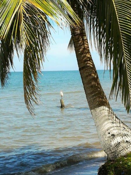 img_20160929_124048_resized_20161001_032106776