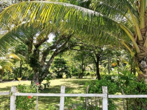 img_20160929_124101_resized_20161001_032055966