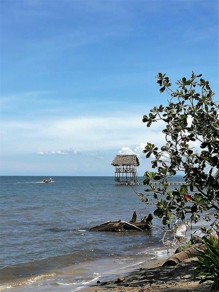 img_20160929_124152_resized_20161001_032044853