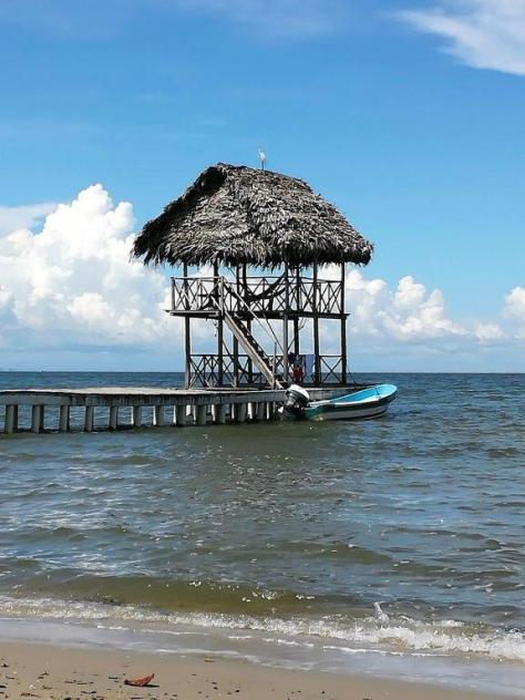 img_20160929_130438_resized_20161001_032008841