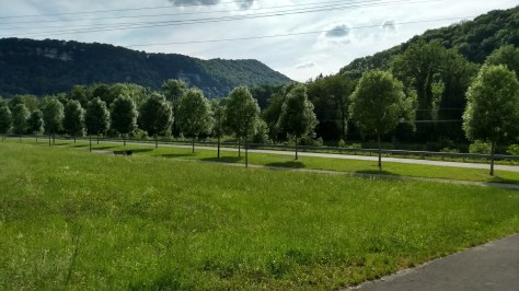 IMG_20170601_174731056_HDR