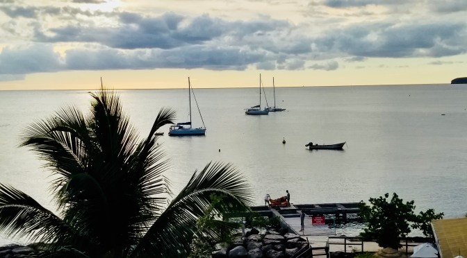 Zurück auf dem Meer